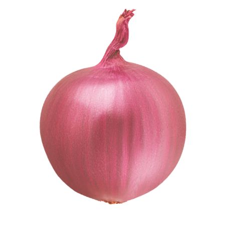 Gemuese Zwiebel pink